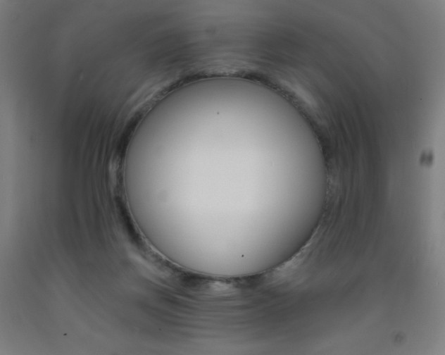 X0000093130166200709261043