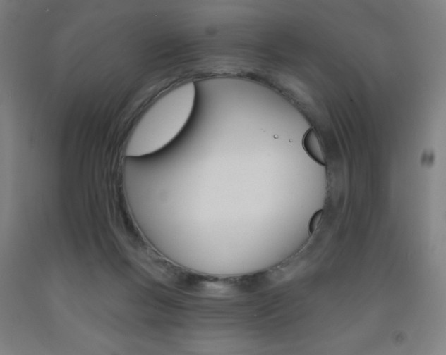 X0000093130167200709261043