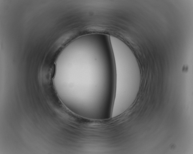 X0000093130168200709261043