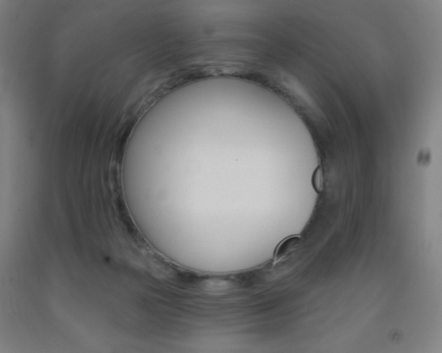 X0000093130169200709261043