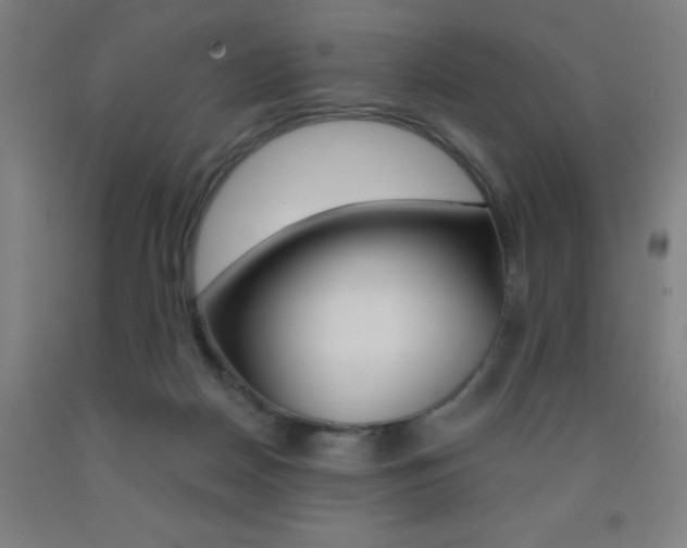 X0000093130170200709261043