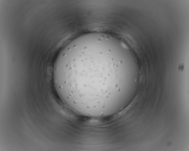 X0000093130171200709261043