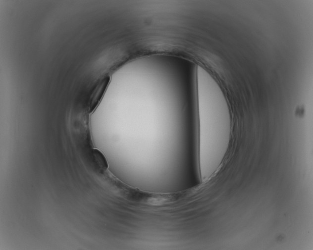 X0000093130172200709261043