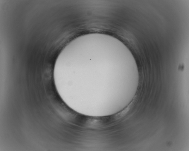 X0000093130174200709261043
