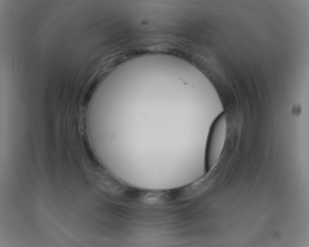 X0000093130175200709261043
