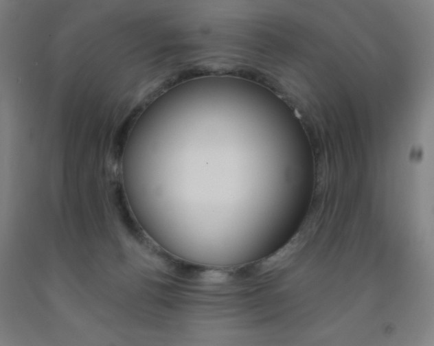 X0000093130176200709261043