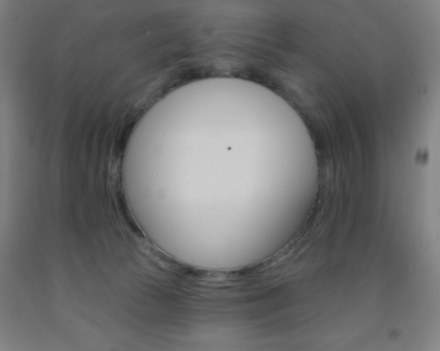 X0000093130177200709261043
