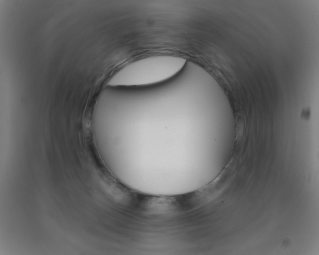 X0000093130179200709261043