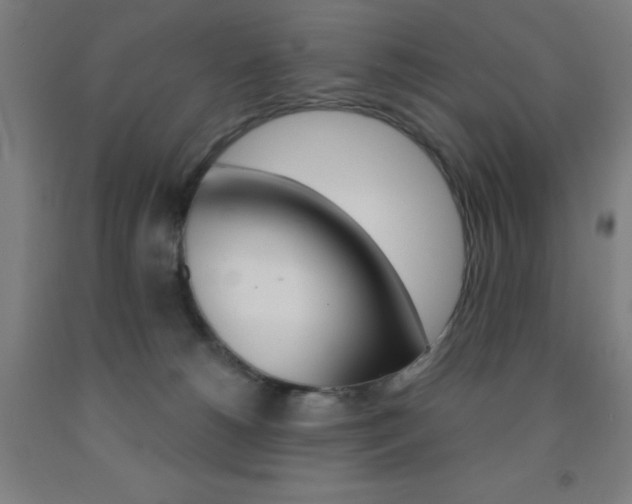 X0000093130180200709261043