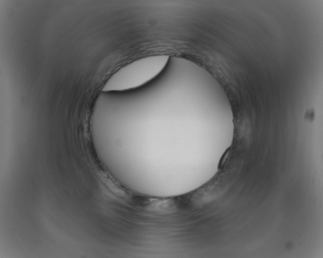 X0000093130185200709261044