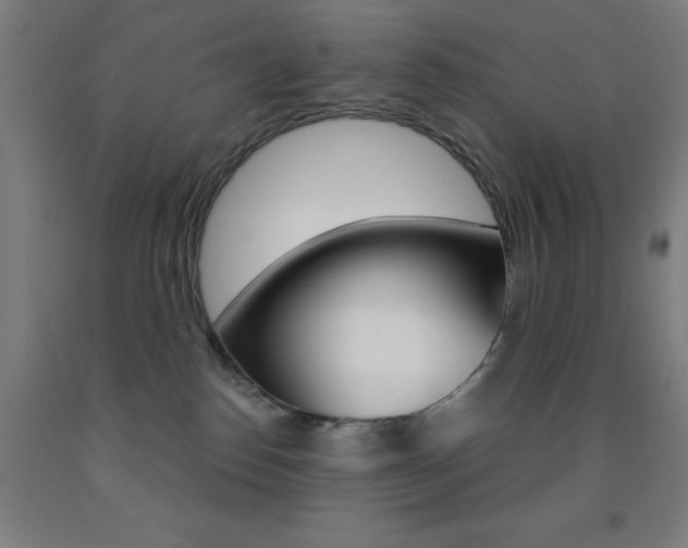 X0000093130186200709261044