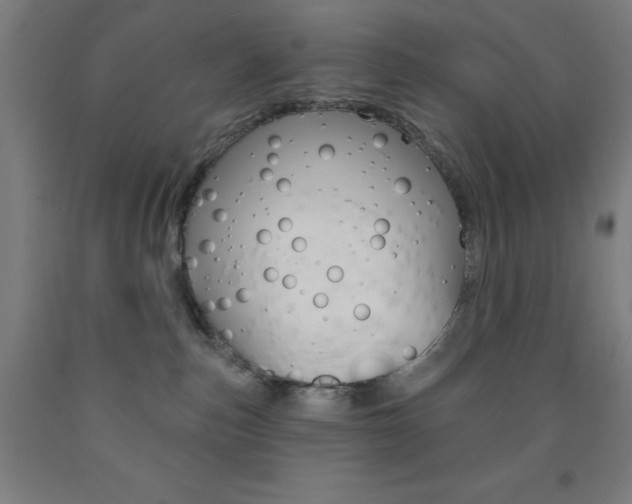 X0000093130187200709261044