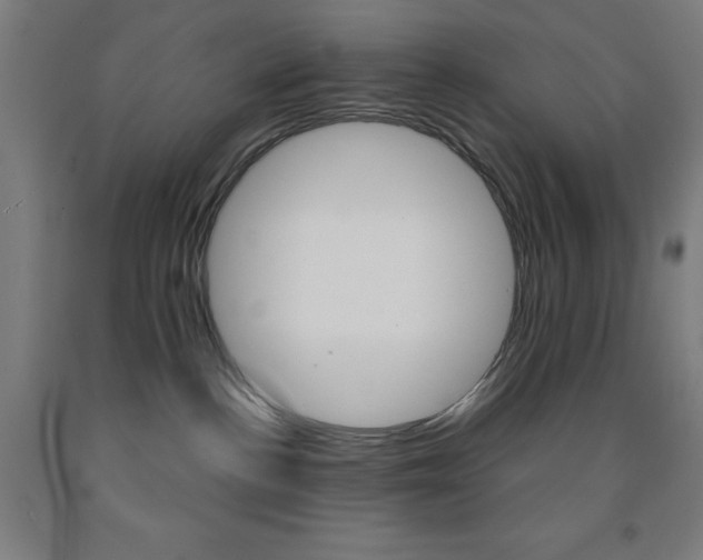 X0000093130188200709261044