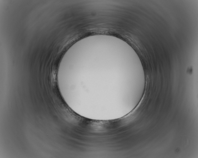 X0000093130190200709261044