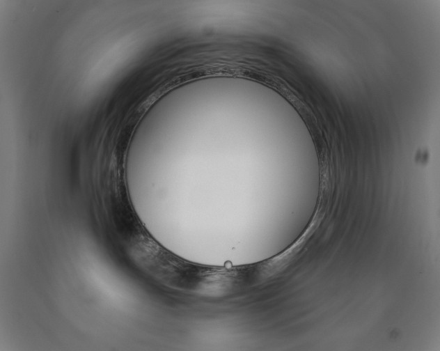 X0000093130191200709261044