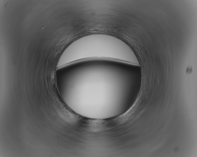 X0000093130192200709261044
