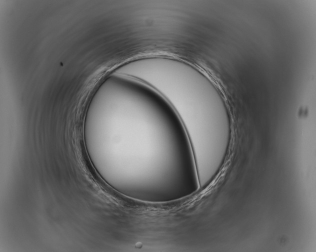 X0000093130193200709261043