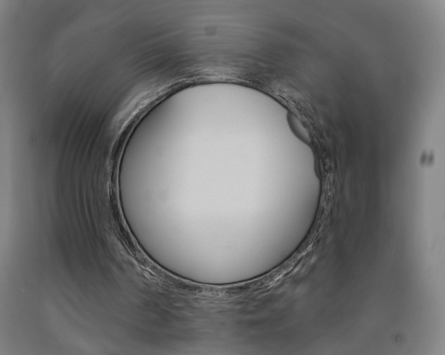 X0000093130194200709261043