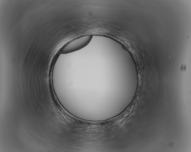 X0000093130196200709261043