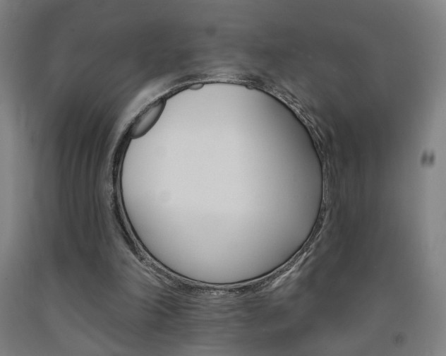X0000093130198200709261043