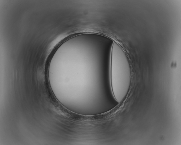 X0000093130200200709261043