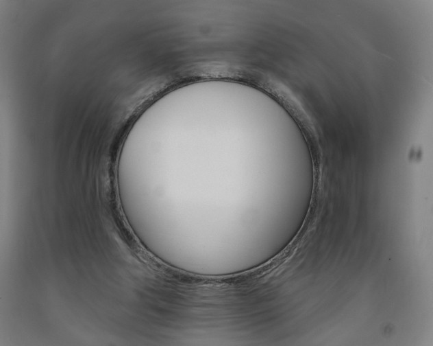 X0000093130202200709261043