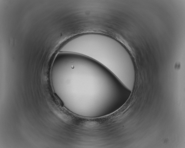 X0000093130203200709261043