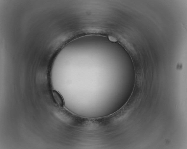 X0000093130207200709261043