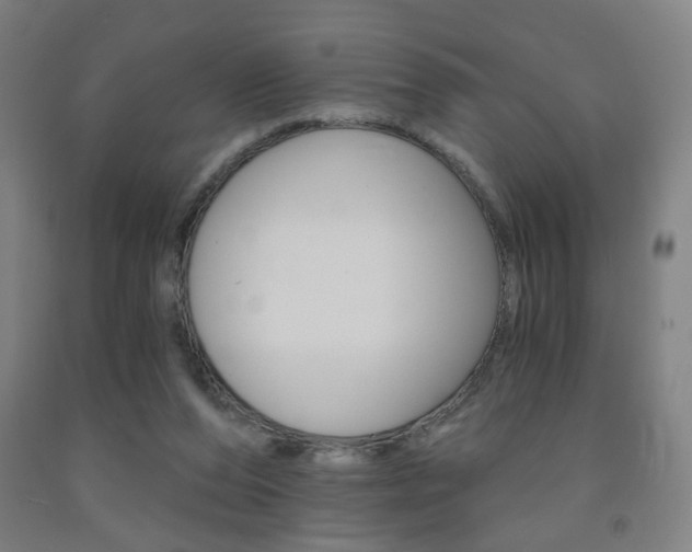 X0000093130208200709261043