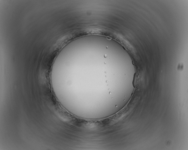 X0000093130209200709261043