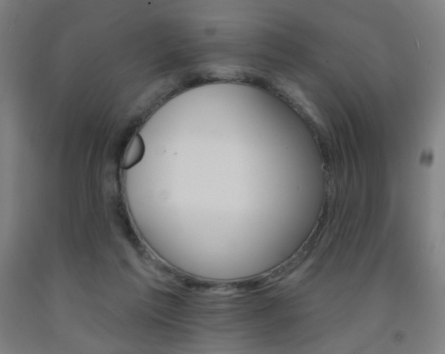 X0000093130213200709261043