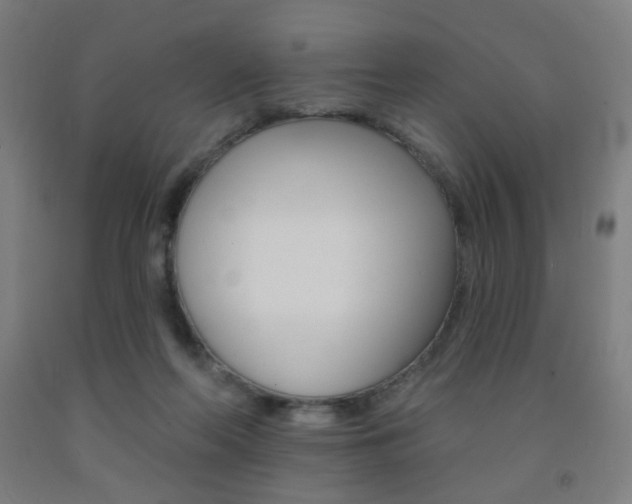 X0000093130214200709261043