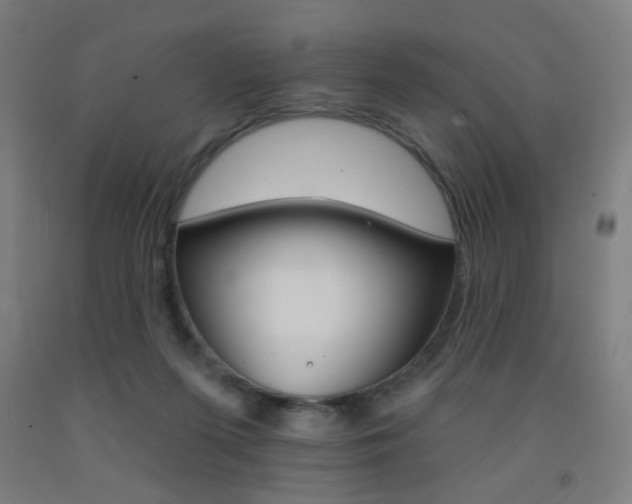 X0000093130215200709261043