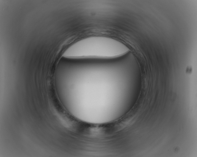 X0000093130216200709261043