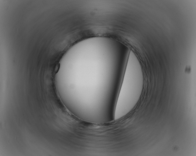 X0000093130221200709261042