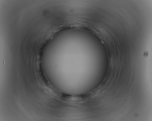 X0000093130223200709261042