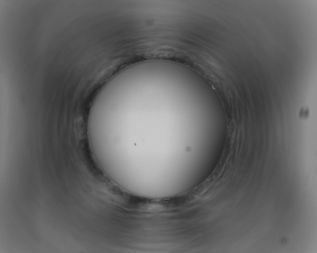 X0000093130224200709261042