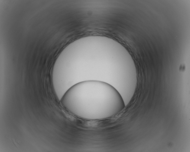 X0000093130225200709261042