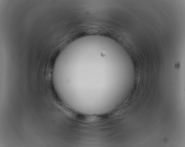 X0000093130226200709261042