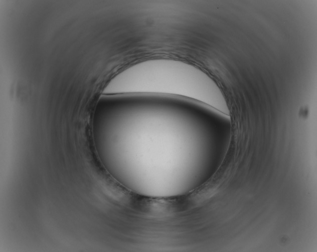 X0000093130229200709261042
