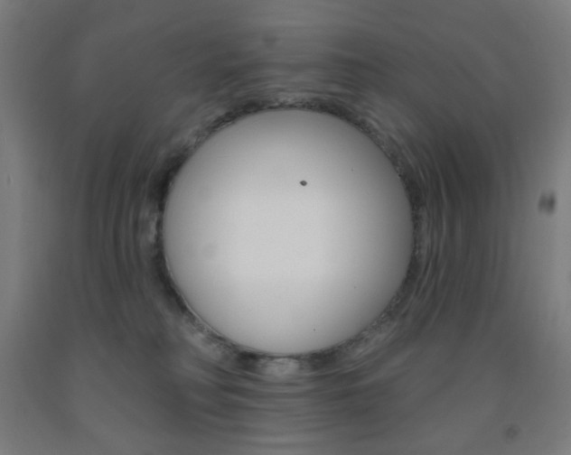 X0000093130230200709261042