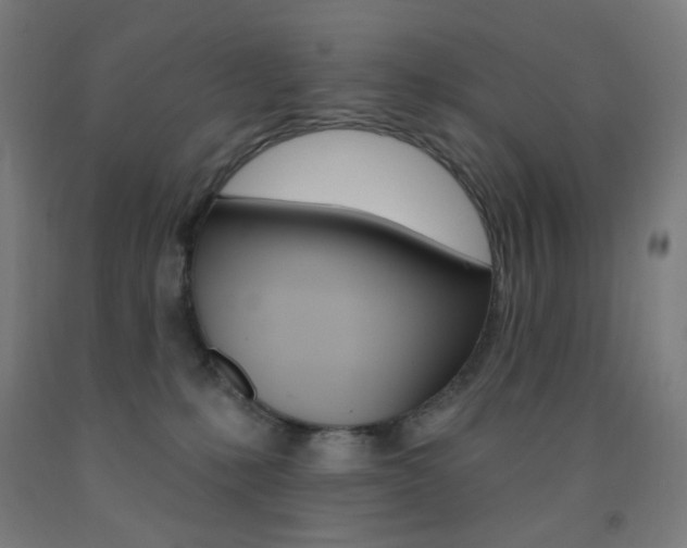 X0000093130231200709261042