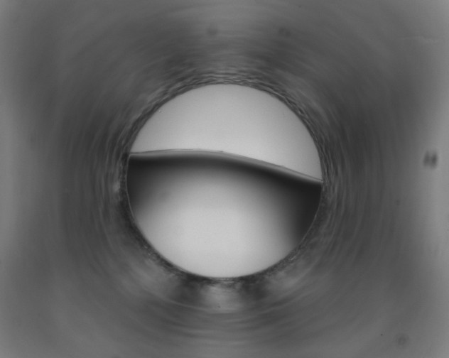 X0000093130232200709261042