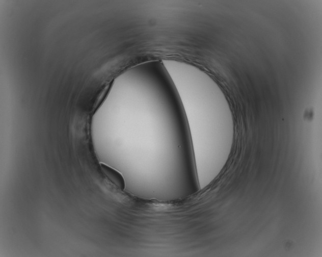 X0000093130233200709261042