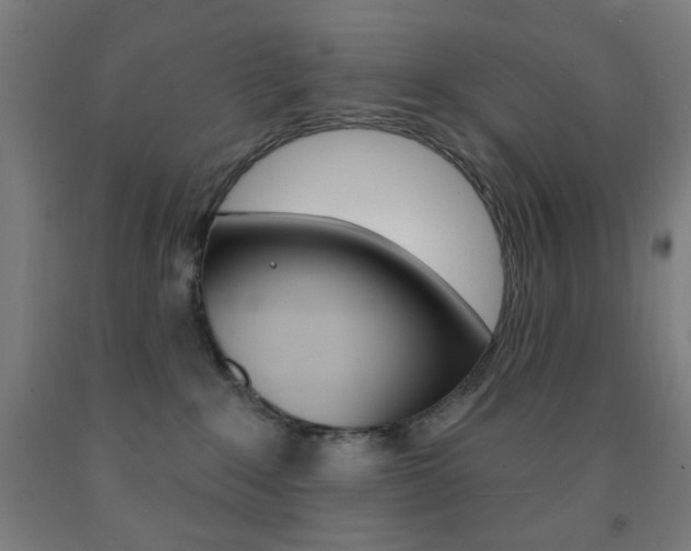 X0000093130235200709261042