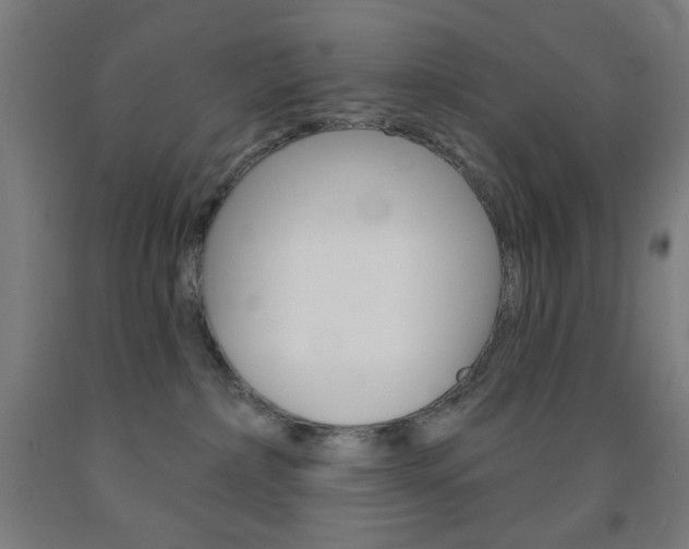 X0000093130236200709261042