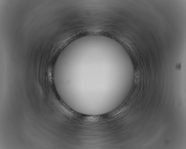 X0000093130238200709261042
