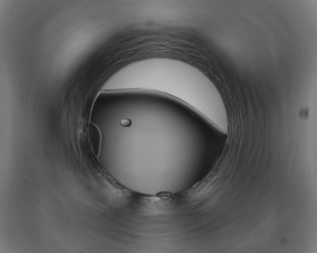 X0000093130239200709261042