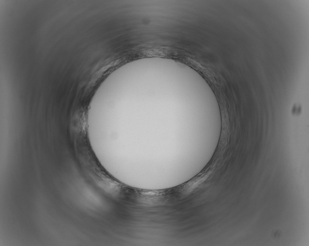 X0000093130240200709261042