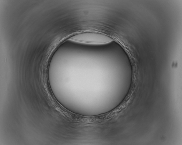 X0000093130241200709261041